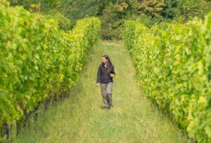 Femmes agricultrices en France : un rôle essentiel mais toujours contraint